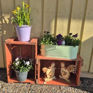 Påsken är kommen till Röingegården 🐣